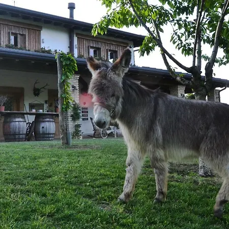 Pietra Cavalla - Ranch & *