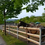 Pietra Cavalla - Ranch &