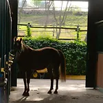 Pietra Cavalla - Ranch & *