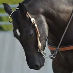 Pietra Cavalla - Ranch &