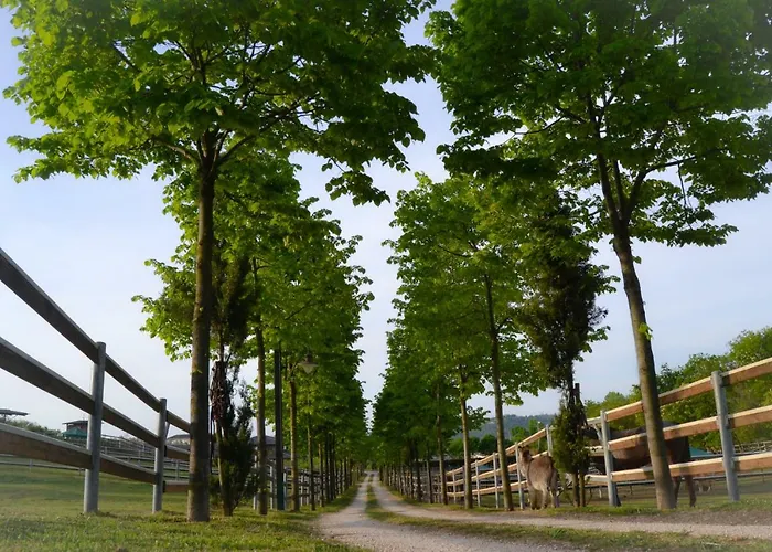 Pietra Cavalla - Ranch & Polpenazze del Garda