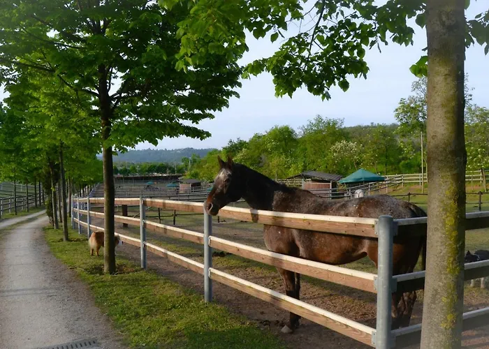 Pietra Cavalla - Ranch &