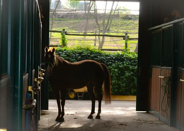 Pietra Cavalla - Ranch & *
