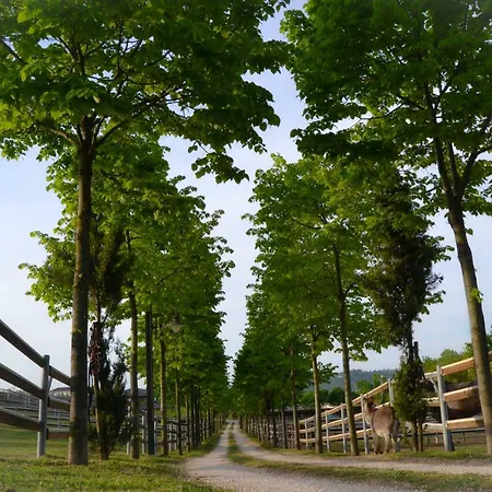 Pietra Cavalla - Ranch & Polpenazze del Garda