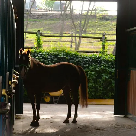 Pietra Cavalla - Ranch & *