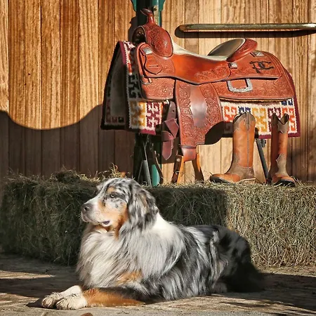 Pietra Cavalla - Ranch & Farm stay Polpenazze del Garda